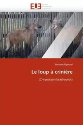 Le loup à crinière