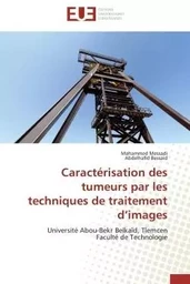 Caractérisation des tumeurs par les techniques de traitement d'images