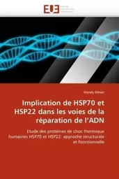 Implication de hsp70 et hsp22 dans les voies de la réparation de l''adn