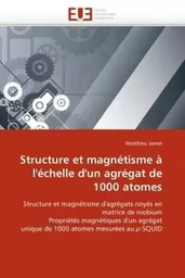 Structure et magnétisme à l''échelle d''un agrégat de 1000 atomes