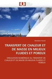 Transfert de chaleur et de masse en milieux fluides et poreux