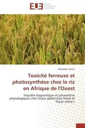 Toxicité ferreuse et photosynthèse chez le riz en afrique de l'ouest