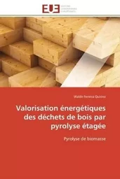 Valorisation énergétiques des déchets de bois par pyrolyse étagée