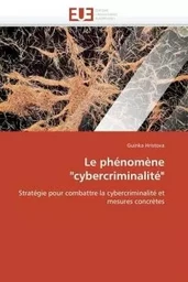 Le phénomène "cybercriminalité"