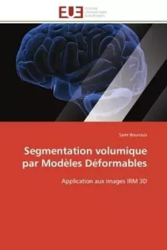 Segmentation volumique par modèles déformables -  BOUROUIS-S - UNIV EUROPEENNE