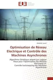 Optimisation de réseau electrique et contrôle des machines asynchrones