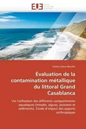 Évaluation de la contamination métallique du littoral grand casablanca