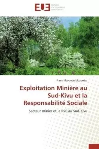 Exploitation Minière au Sud-Kivu et la Responsabilité Sociale - Frank Mayundo Muyumba - UNIV EUROPEENNE