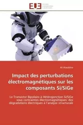 Impact des perturbations électromagnétiques sur les composants Si/SiGe