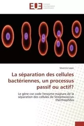 La séparation des cellules bactériennes, un processus passif ou actif?