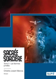 Sacrée sorcière - Tome 3