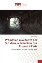 Promotion qualitative des sig dans la réduction des risques à paris