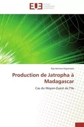 Production de Jatropha à Madagascar