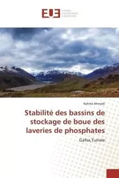 Stabilité des bassins de stockage de boue des laveries de phosphates