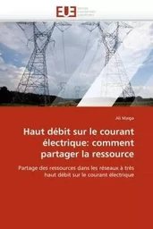 Haut débit sur le courant électrique: comment partager la ressource