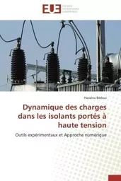 Dynamique des charges dans les isolants portés à haute tension