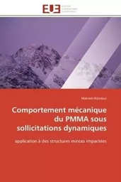 Comportement mécanique du PMMA sous sollicitations dynamiques