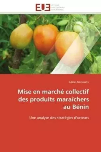 Mise en marché collectif des produits maraîchers au Bénin - Julien Amoussou - UNIV EUROPEENNE