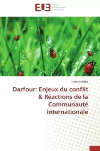 Darfour: enjeux du conflit & réactions de la communauté internationale -  BLAISE-N - UNIV EUROPEENNE