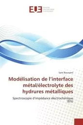 Modélisation de l'interface métal/électrolyte des hydrures métalliques