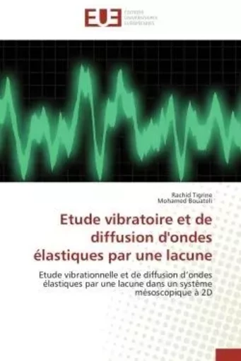 Etude vibratoire et de diffusion d'ondes élastiques par une lacune - RACHID TIGRINE, Mohamed Bouateli - UNIV EUROPEENNE