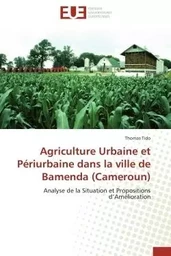 Agriculture Urbaine et Périurbaine dans la ville de Bamenda (Cameroun)