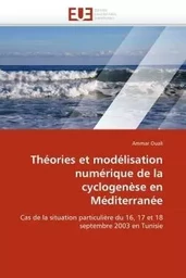 Théories et modélisation numérique de la cyclogenèse en méditerranée