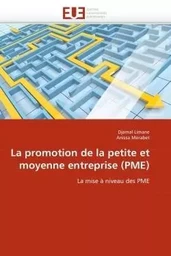 La promotion de la petite et moyenne entreprise (pme)