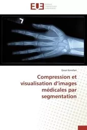 Compression et visualisation d'images médicales par segmentation