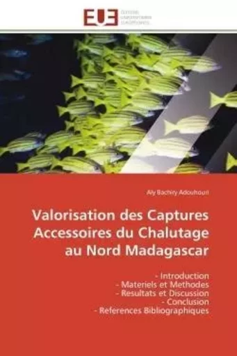 Valorisation des Captures Accessoires du Chalutage au Nord Madagascar - Aly Bachiry Adouhouri - UNIV EUROPEENNE