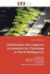 Valorisation des Captures Accessoires du Chalutage au Nord Madagascar