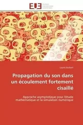 Propagation du son dans un écoulement fortement cisaillé