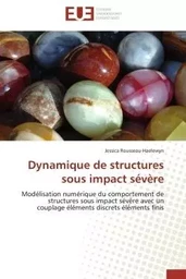 Dynamique de structures sous impact sévère