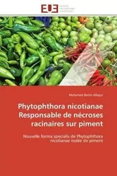 Phytophthora nicotianae Responsable de nécroses racinaires sur piment