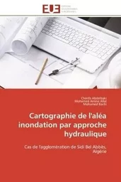 Cartographie de l'aléa inondation par approche hydraulique