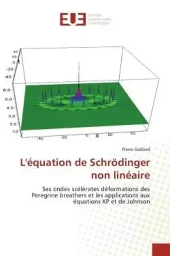 L'équation de Schrödinger non linéaire - Pierre Gaillard - UNIV EUROPEENNE