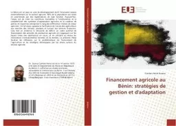 Financement agricole au BENIN: strategies de gestion et d'adaptation