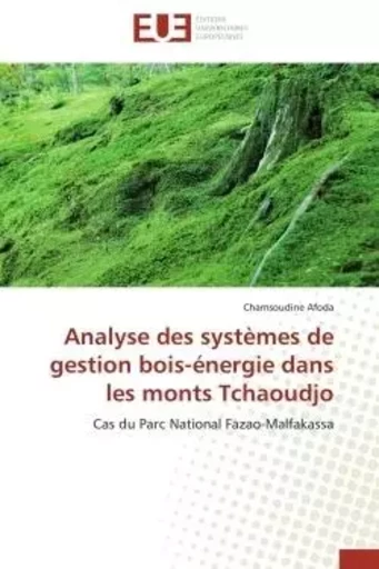 Analyse des systèmes de gestion bois-énergie dans les monts Tchaoudjo - Chamsoudine Afoda - UNIV EUROPEENNE