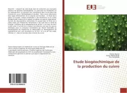 Etude biogéochimique de la production du cuivre