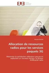 Allocation de ressources radios pour les services paquets 3G