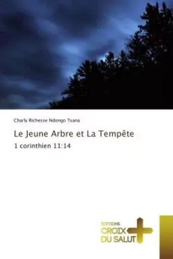 Le Jeune Arbre et La Tempête - Charly Richesse Ndongo Tsana - UNIV EUROPEENNE