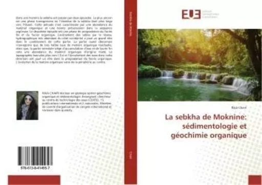 La sebkha de Moknine: sédimentologie et géochimie organique - Raja Chairi - UNIV EUROPEENNE