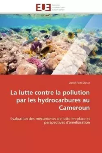 La lutte contre la pollution par les hydrocarbures au cameroun -  DIESSE-L - UNIV EUROPEENNE