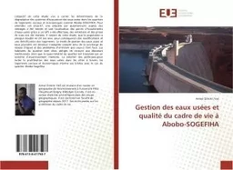 Gestion des eaux usees et qualite du cadre de vie A Abobo-SOGeFIHA