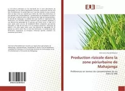 Production rizicole dans la zone periurbaine de Mahajanga