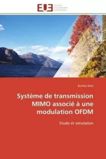 Système de transmission MIMO associé à une modulation OFDM - Borhen Dridi - UNIV EUROPEENNE