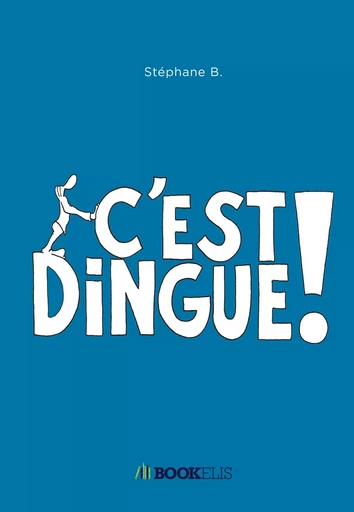 C'est Dingue ! - Stephane B - BOOKELIS