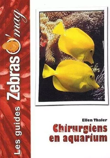 Poissons-chirurgiens en aquarium -  - ANIMALIA