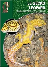 Le Gecko léopard - Eublepharis macularius