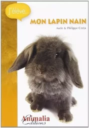 Mon lapin nain